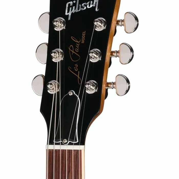 Gibson Les Paul Standard 60s DT VCS – photo 9