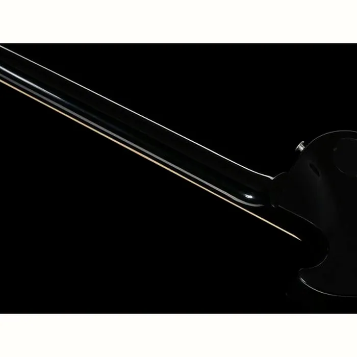 Gibson Les Paul Studio Session DPB – photo 12