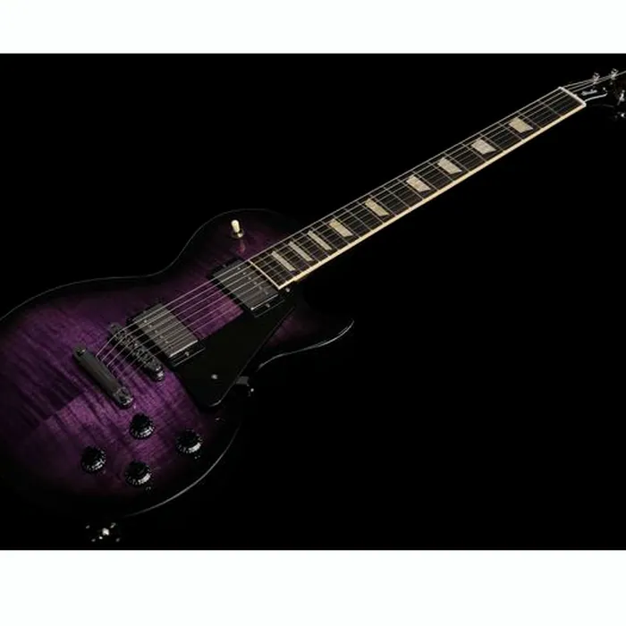 Gibson Les Paul Studio Session DPB – photo 10