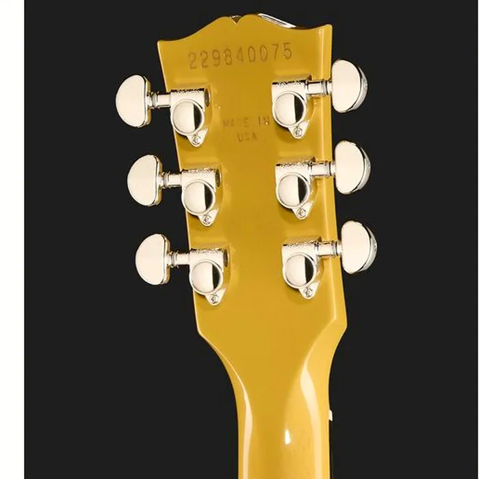 Gibson LP Standard 60s Mahogany TV – photo 9