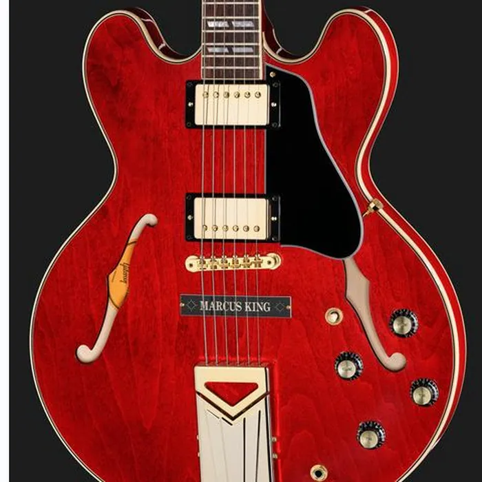 Gibson Marcus King ES-345 Sixties Ch. – photo 6