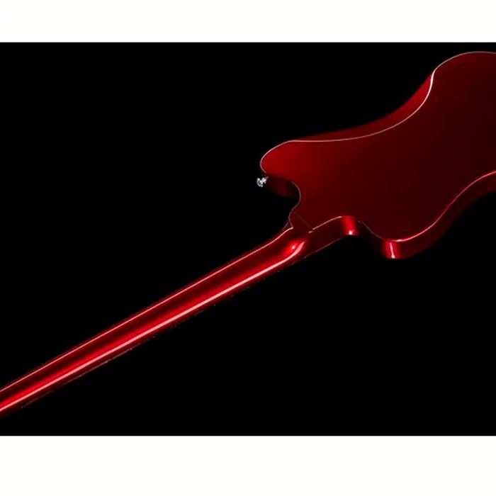 Gibson Thunderbird Non-Reverse SB – photo 10