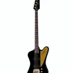 Avis basse électrique Gibson Thunderbird Rex Brown Bass