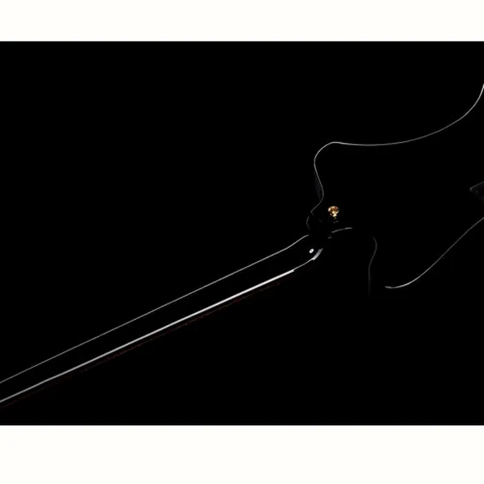 Gibson Thunderbird Rex Brown Bass – photo 10