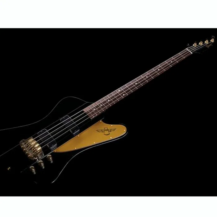 Gibson Thunderbird Rex Brown Bass – photo 11