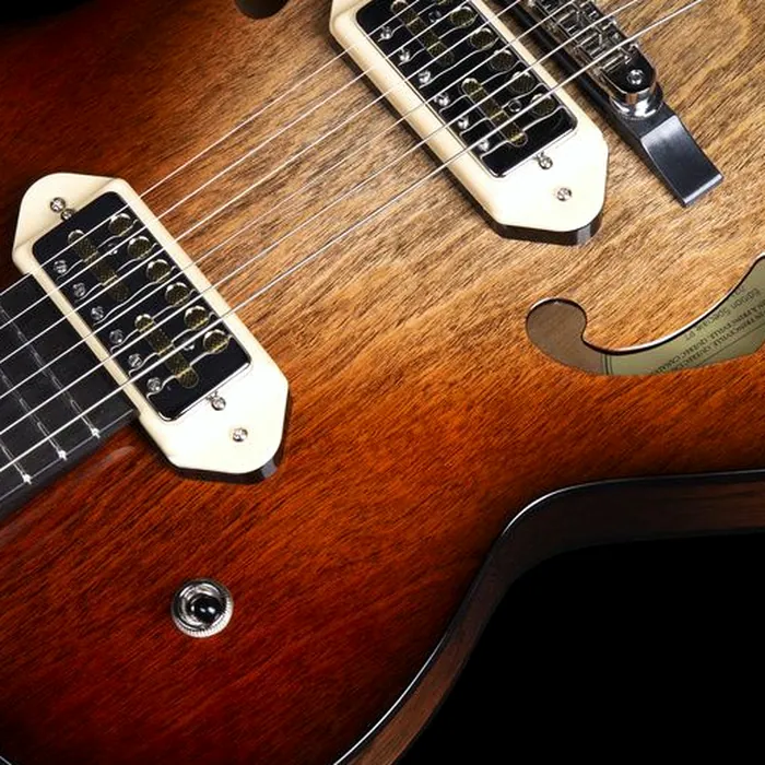 Godin 5th Ave TL Gold Foil VB – photo 8