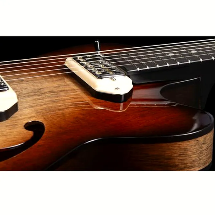 Godin 5th Ave TL Gold Foil VB – photo 7
