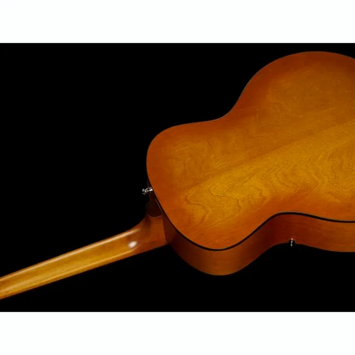 Godin 5th Avenue Jumbo P-Rail HG – photo 10