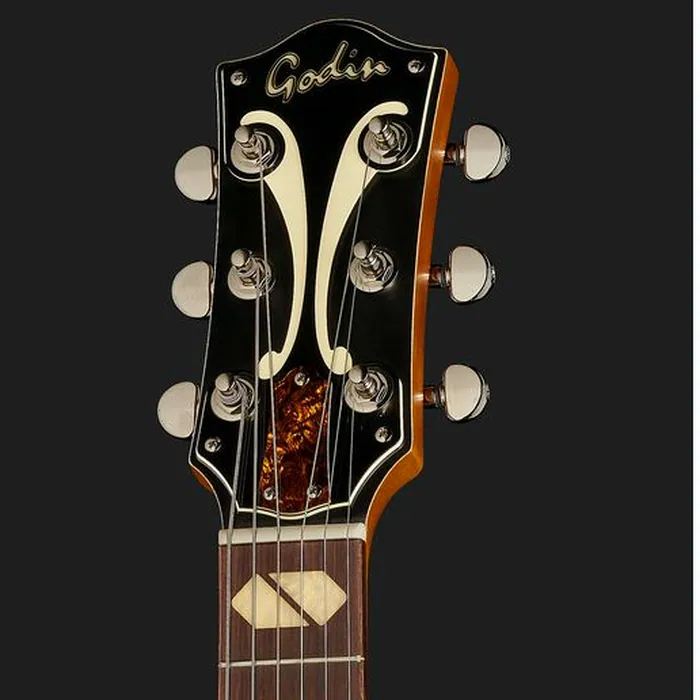 Godin 5th Avenue Jumbo P-Rail HG – photo 8