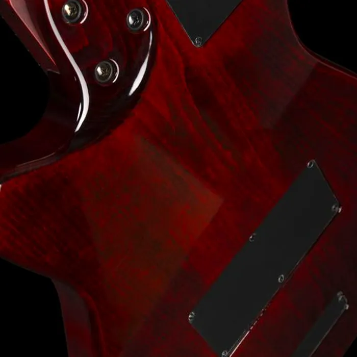 Godin A12 Ultra Dlx Lightburst – photo 10