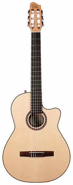 Godin Arena Flame Maple CW DS QIT