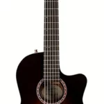 Guitare classique Godin Arena Pro BB CW DS QIT | Test, Avis & Comparatif