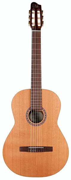 Godin Concert