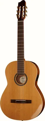 Godin Concert Left QIT