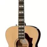 Guitare acoustique Godin Fairmount CH LTD RW HG EQ | Test, Avis & Comparatif