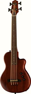 Gold Tone ME-BASS/Fretless