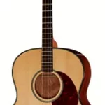Guitare acoustique Gold Tone TG-18 Tenor Guitar | Test, Avis & Comparatif