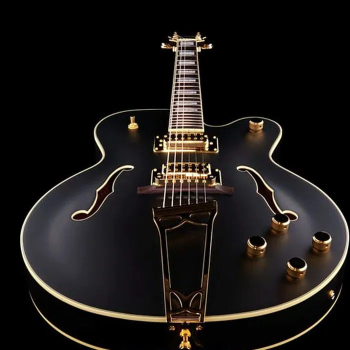 Gretsch G5191BK Tim Armstrong – photo 9