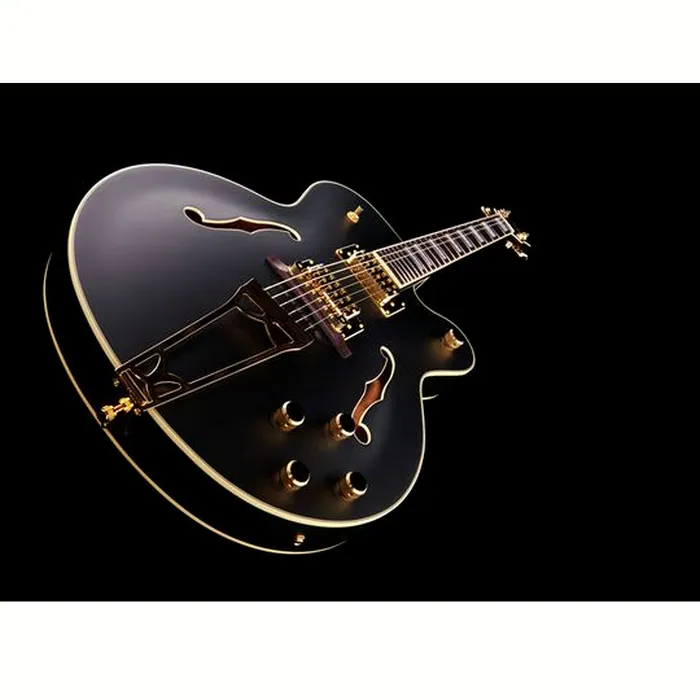 Gretsch G5191BK Tim Armstrong – photo 10