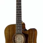 Guitare acoustique Guild D-120CE Nat Westerly | Test, Avis & Comparatif