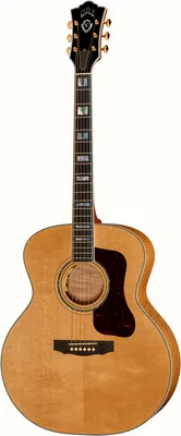 Guild F55E Maple USA
