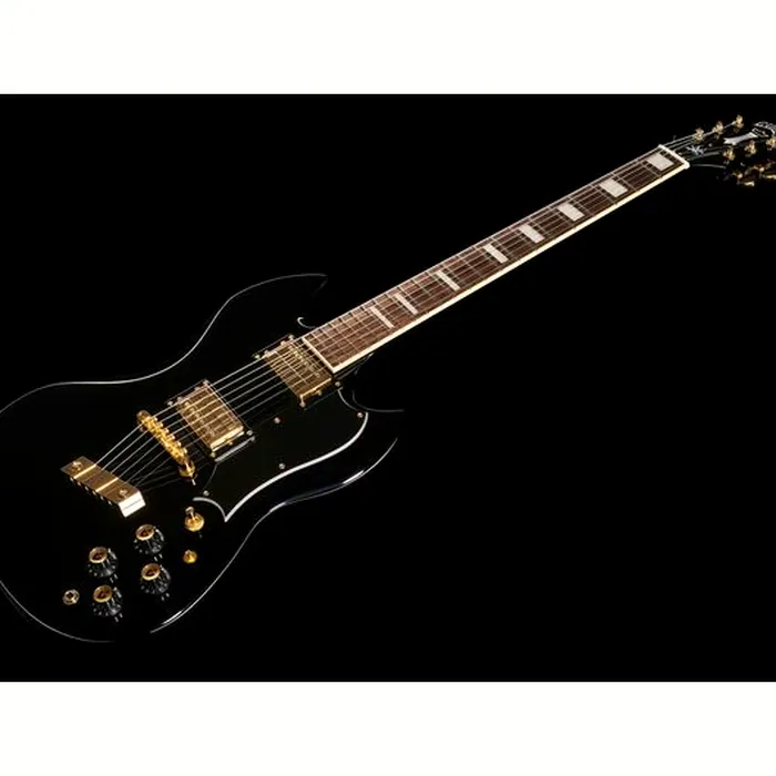 Guild Polara Kim Thayil – photo 11