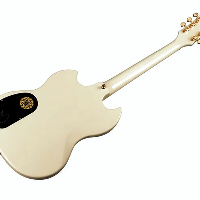 Guild Polara Kim Thayil VWG – photo 7