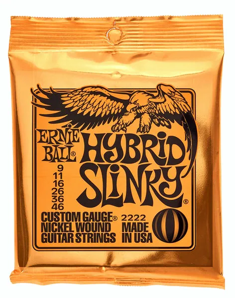 guitare Ernie Ball 2222