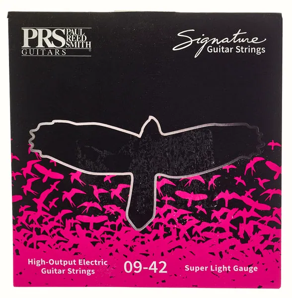 guitare PRS Signature Strings 009 SL