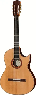 Hanika BasisCut PC + Pickup System