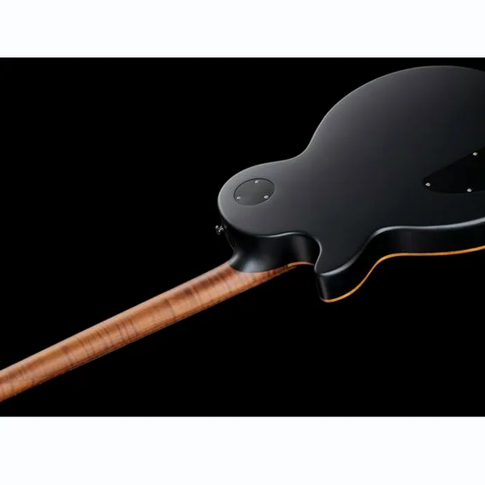 Harley Benton Aeolus Frost Flame – photo 10