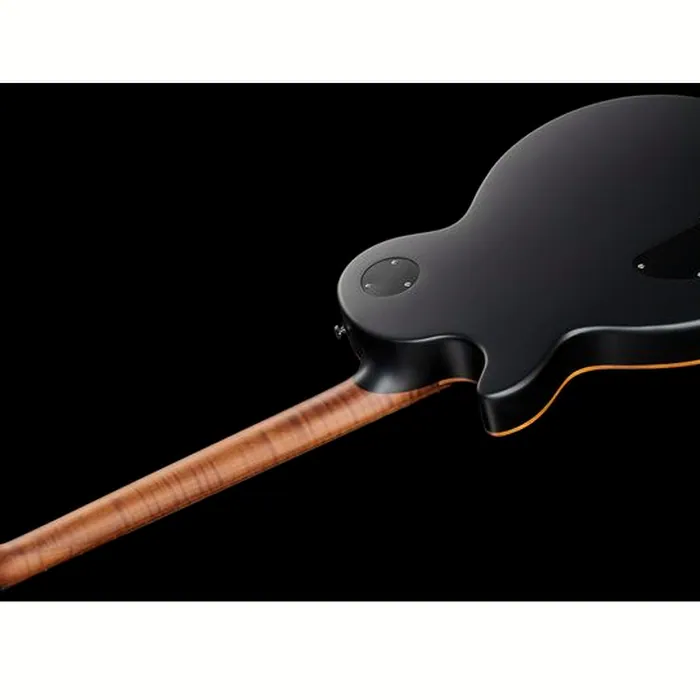 Harley Benton Aeolus Frost Flame w/Bag – photo 10