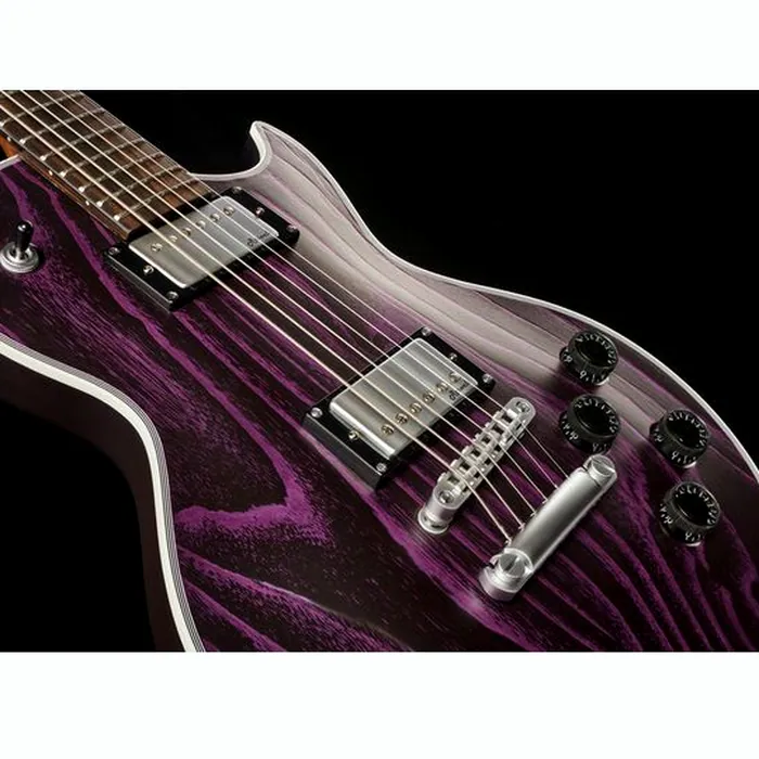 Harley Benton Agufish Custom Signatur w/Case – photo 10