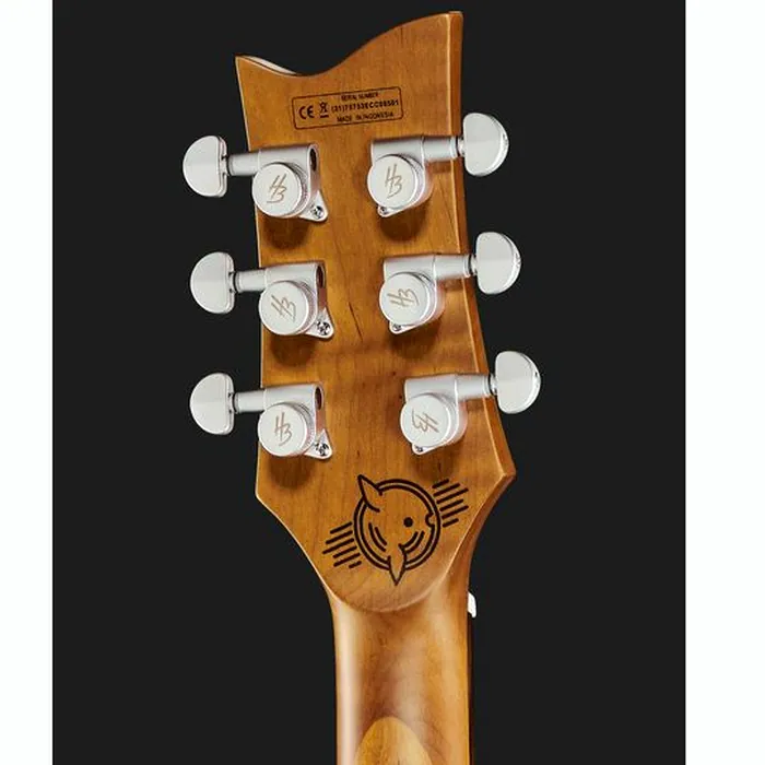 Harley Benton Agufish Custom Signature BT PB – photo 9