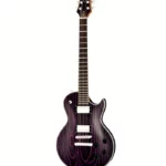 Avis sur Harley Benton Agufish Custom Signature PB – Test guitare électrique