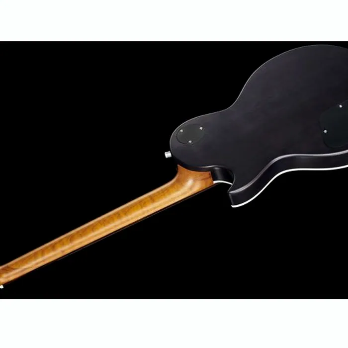 Harley Benton Agufish Custom Signature PB – photo 10
