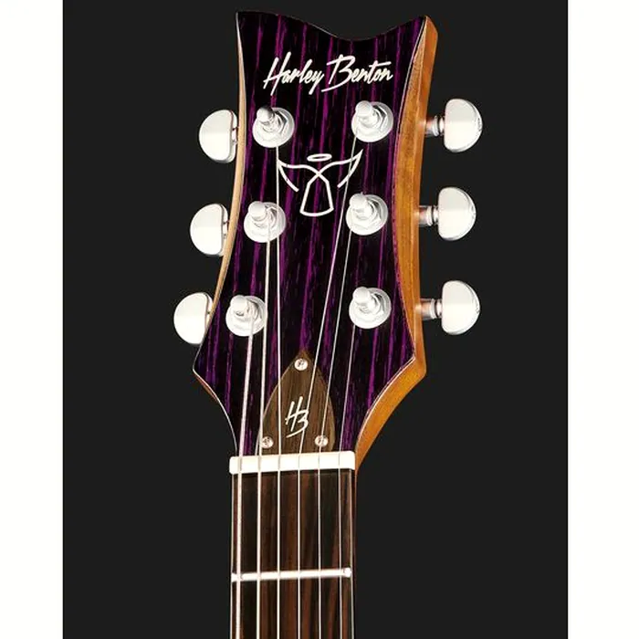 Harley Benton Agufish Custom Signature PB – photo 8