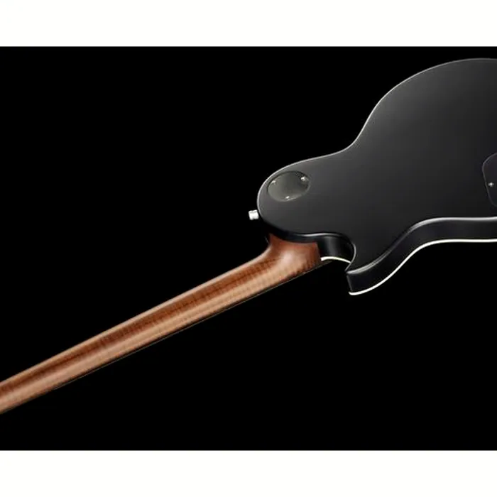 Harley Benton Agufish Standard STD BT BK – photo 10
