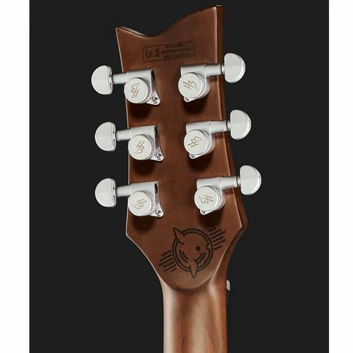 Harley Benton Agufish Standard STD BT BK – photo 9