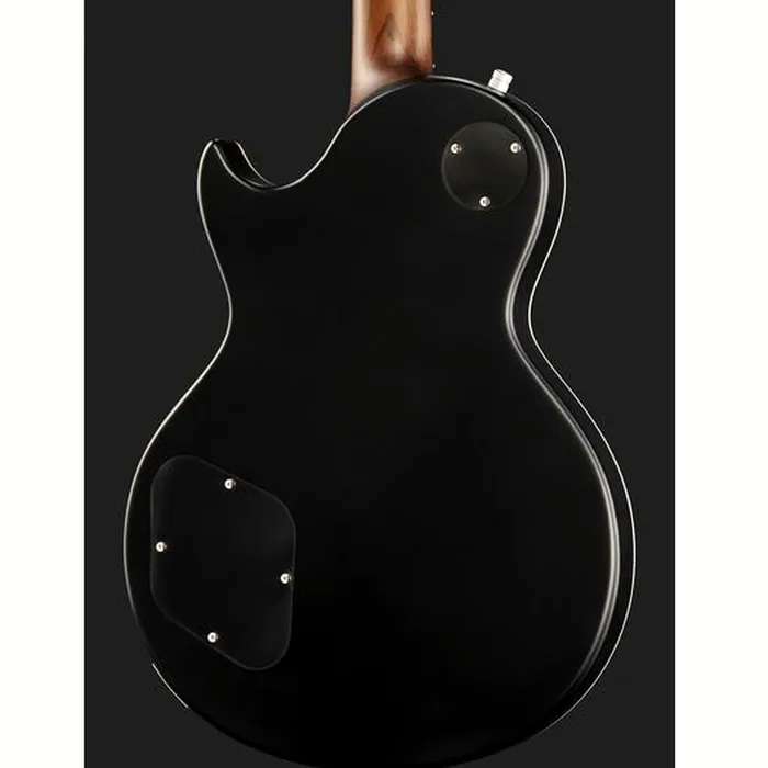 Harley Benton Agufish Standard STD BT BK – photo 7