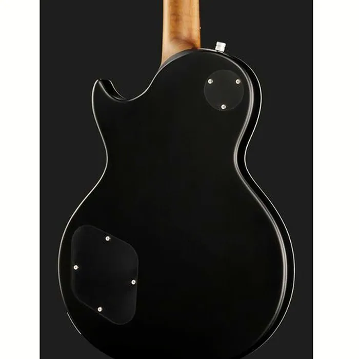Harley Benton Agufish STD Signature BK – photo 7
