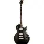La guitare électrique Harley Benton Agufish STD Signature BK : Notre avis