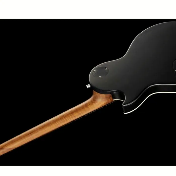 Harley Benton Agufish STD Signature BK – photo 10