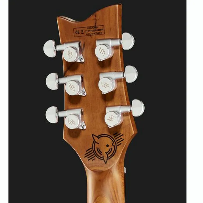 Harley Benton Agufish STD Signature BK – photo 9