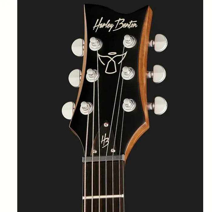 Harley Benton Agufish STD Signature BK – photo 8
