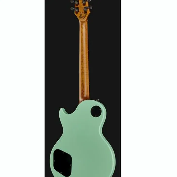 Harley Benton Agufish STD Signature SFG – photo 5