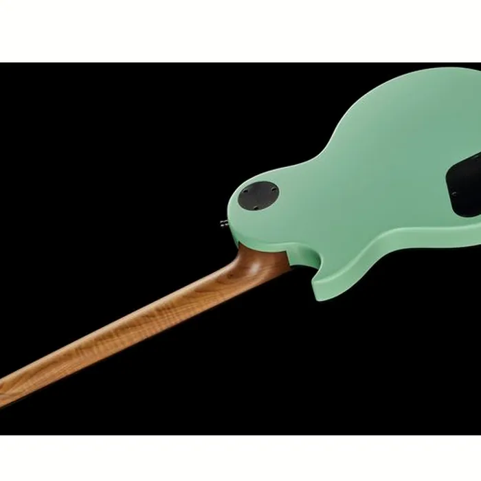 Harley Benton Agufish STD Signature SFG – photo 10