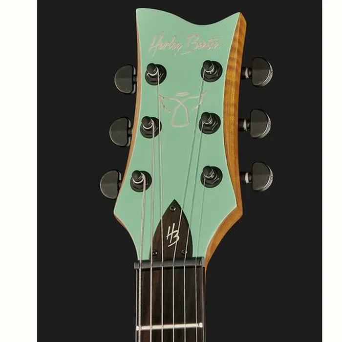 Harley Benton Agufish STD Signature SFG – photo 8
