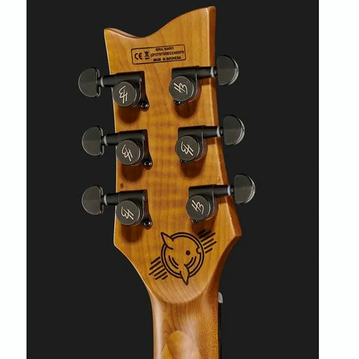 Harley Benton Agufish STD Signature SFG – photo 9