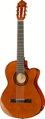 Harley Benton CG300CE NT
